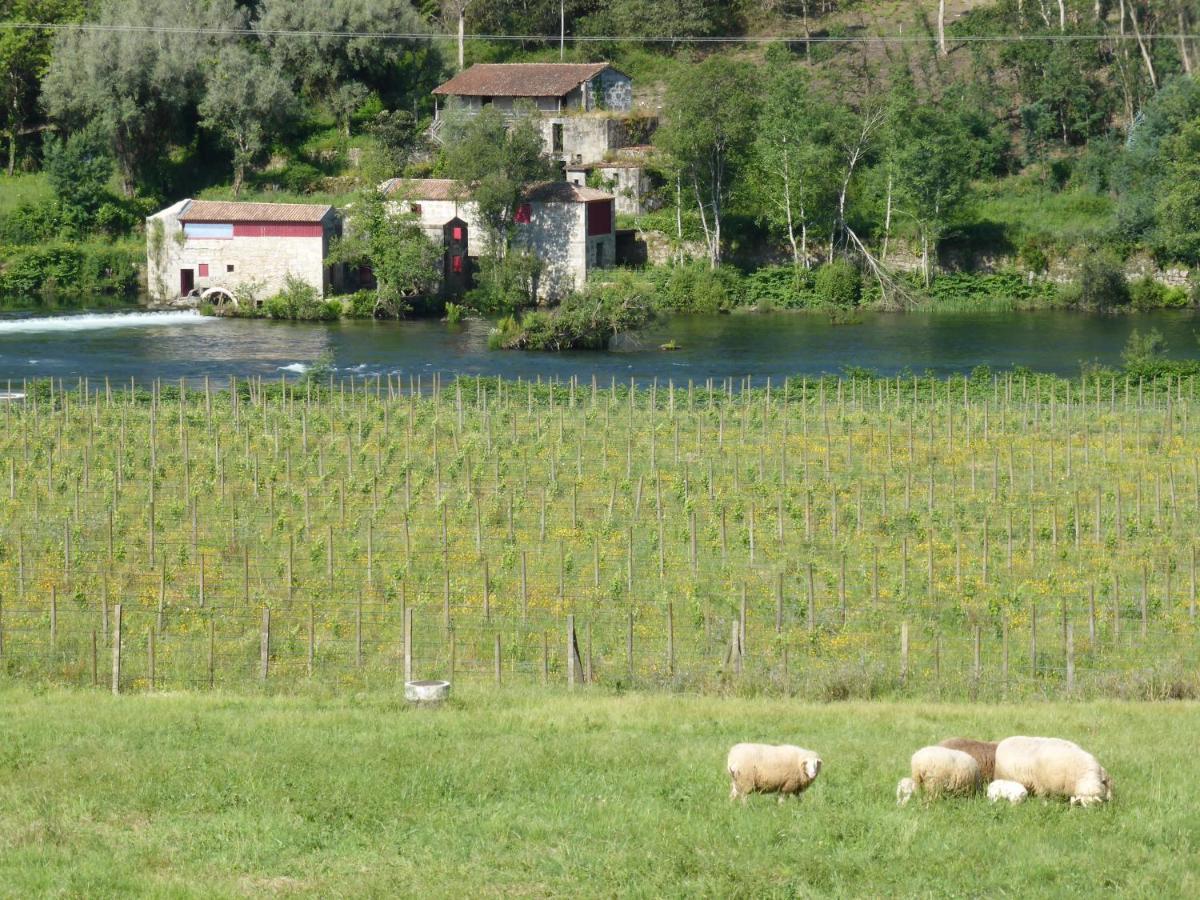 Quinta Do Burgo - Nature Hotel Amares Eksteriør billede