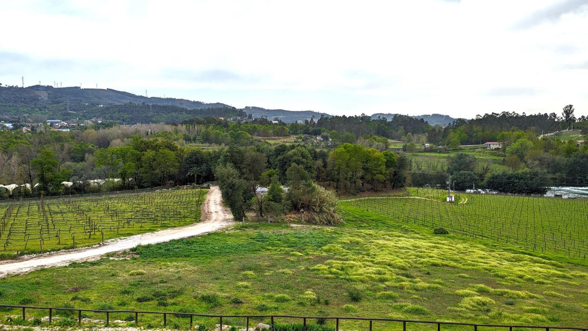 Quinta Do Burgo - Nature Hotel Amares Eksteriør billede