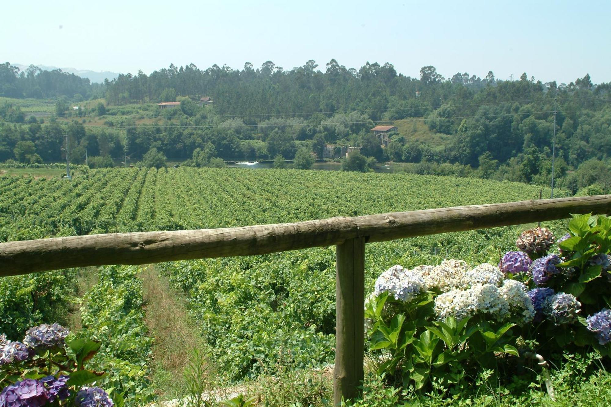 Quinta Do Burgo - Nature Hotel Amares Eksteriør billede